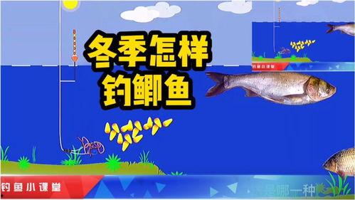爆料钓鱼真相大全最新版,揭秘网络陷阱,守护您的信息安全 第3张 爆料钓鱼真相大全最新版,揭秘网络陷阱,守护您的信息安全 第3张