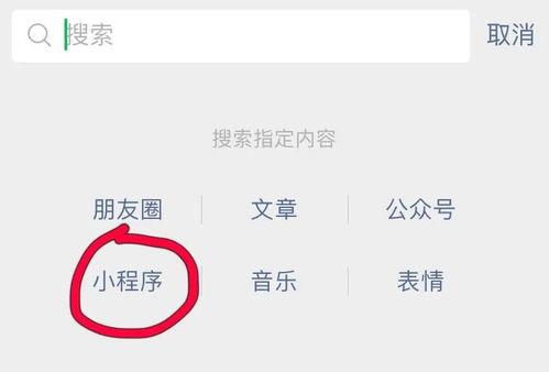 爆料视频小程序,爆料视频，带你探秘短视频新潮流