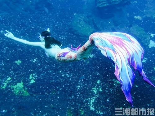 长沙美人鱼爆料视频大全,水下奇观背后的神秘故事 第2张 长沙美人鱼爆料视频大全,水下奇观背后的神秘故事 第2张