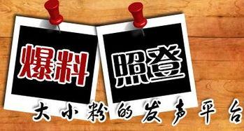 各大新闻爆料平台,各大新闻爆料平台最新热点事件汇总