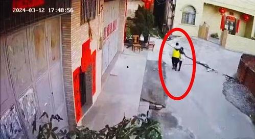 五华最新 爆料消息新闻,揭秘重大新闻事件背后的真相！”