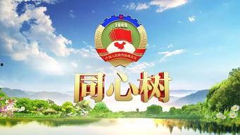 浙江卫视今日关注爆料,揭秘热门事件背后真相 第2张 浙江卫视今日关注爆料,揭秘热门事件背后真相 第2张