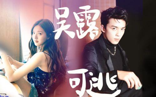 虞书欣王鹤棣圈内人爆料,揭秘娱乐圈背后的真实故事