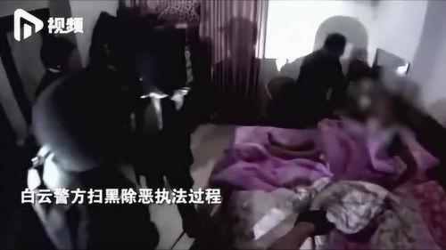 广州爆料三兄弟视频播放,揭秘背后真相