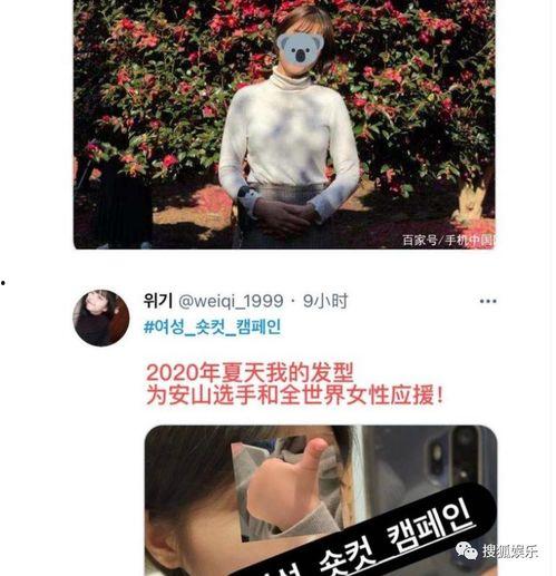 成毅新剧预告娱乐大爆料,娱乐大爆料，神秘角色引期待