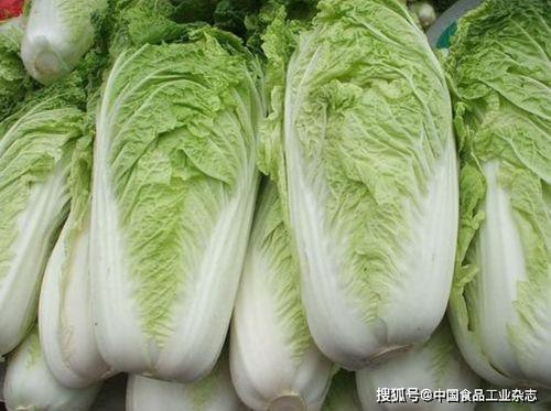 白菜吃鸡爆料视频大全,揭秘热门爆料视频背后的精彩瞬间 第3张 白菜吃鸡爆料视频大全,揭秘热门爆料视频背后的精彩瞬间 第3张