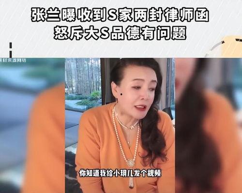 张兰爆料保姆视频,揭秘豪门背后的真实生活 第2张 张兰爆料保姆视频,揭秘豪门背后的真实生活 第2张