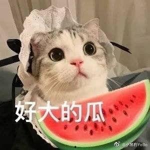 《文安》网红吃瓜,揭秘网络热点背后的真相