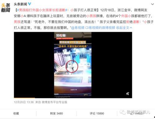 外国的爆料视频,真实事件背后的惊人内幕  第3张