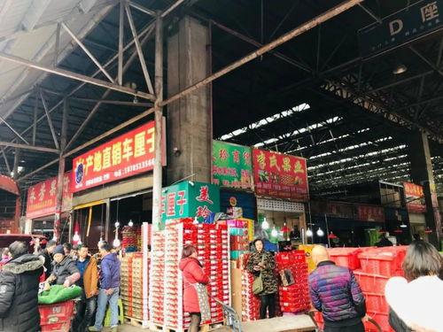真实爆料批发市场图片视频,真实爆料下的图片与视频全景 第2张 真实爆料批发市场图片视频,真实爆料下的图片与视频全景 第2张