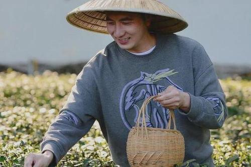 林生斌18号爆料视频,事件背后惊人真相