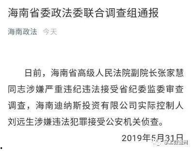 海南省政府爆料案件最新,重大案件细节曝光,真相大白! 第2张 海南省政府爆料案件最新,重大案件细节曝光,真相大白! 第2张