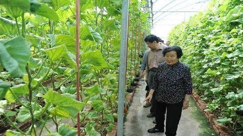 八十多万网红吃瓜是真的吗,八十多万网红吃瓜事件真相揭晓  第3张